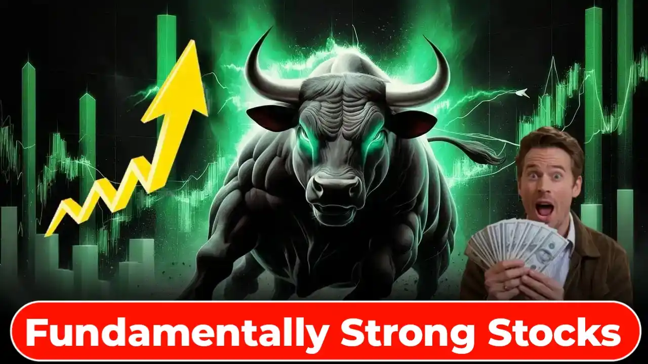 Fundamentally Strong Stocks Under 100
